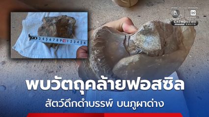 ชาวบ้าน ฮือฮาพบวัตถุคล้ายฟอสซิลสัตว์ดึกดำบรรพ์ บนภูผาด่าง วอนหน่วยงานเร่งตรวจสอบ