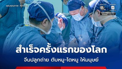 ครั้งแรกของโลก ! ทีมแพทย์จีน ปลูกถ่าย ตับหมู-ไตหมู ให้ผู้ป่วยสมองตายสำเร็จ