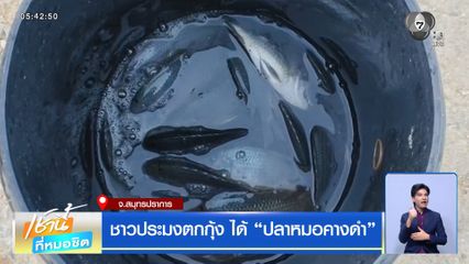 ชาวประมงตกกุ้ง ได้ ปลาหมอคางดำ