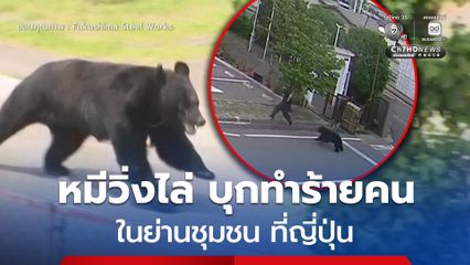 หมีวิ่งไล่ บุกทำร้ายคนในย่านชุมชน ที่ญี่ปุ่น