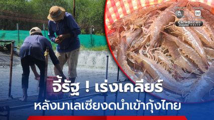 จี้รัฐ ! เร่งเคลียร์มาเลเซีย เปิดด่านนำเข้ากุ้ง ก่อนล้นตลาดในไทย