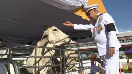 พระบาทสมเด็จพระเจ้าอยู่หัว ทรงพระกรุณาโปรดเกล้าโปรดกระหม่อมให้ประธานองคมนตรี เป็นผู้แทนพระองค์ ไปในการบําเพ็ญพระราชกุศลปล่อยโค นก และปลา เนื่องในโอกาสพระราชพิธีมหามงคลเฉลิมพระชนมพรรษา 4 รอบ สมเด็จพระนางเจ้า ฯ พระบรมราชินี 3 มิถุนายน 2569