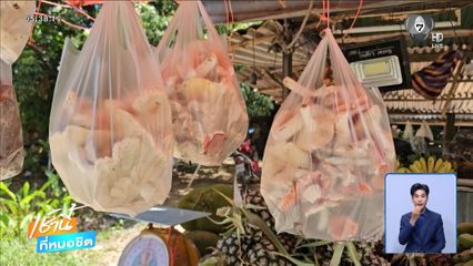 แม่ค้าเห็ด ชวนซื้อ เห็ดปลอดสาร-ปลอดภัย จ.พิษณุโลก