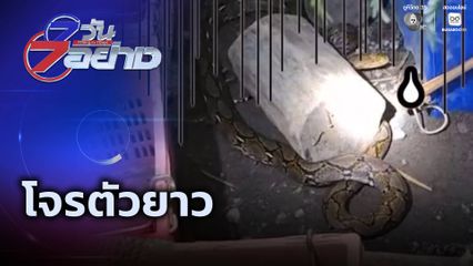 7 วัน 7 อย่าง : โจรตัวยาว