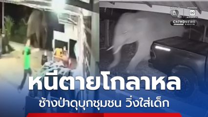 ระทึก ชาวบ้านหนีตายโกลาหล ช้างป่าดุบุกชุมชน วิ่งใส่เด็ก