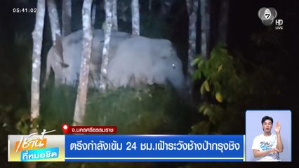 ตรึงกำลังเข้ม 24 ชม.เฝ้าระวังช้างป่ากรุงชิง
