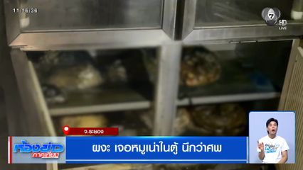 ผงะ เจอหมูเน่าในตู้ นึกว่าศพ