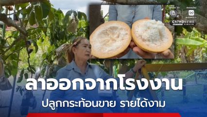 สาวฉันทนาผันตัวเป็นชาวสวนปลูกกระท้อนขาย รายได้ดีกว่าเงินเดือน