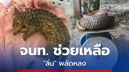 เจ้าหน้าที่เขตห้ามล่าสัตว์ป่าดอนศิลาเข้าช่วยเหลือ "ลิ่น" พลัดหลง  เจ้าหน้าที่นำไปทำการอนุบาลและดูแลอย่างใกล้ชิด