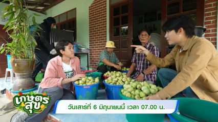 เกษตรสุข ตะลุยเมืองเพชรบุรี เปิดความลับชมพู่เพชรสายรุ้ง