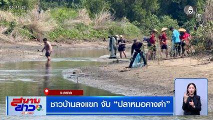 ชาวบ้านลงแขก จับปลาหมอคางดำ