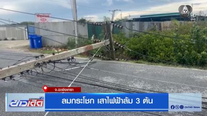 ลมกระโชก เสาไฟฟ้าล้ม 3 ต้น จ.ฉะเชิงเทรา