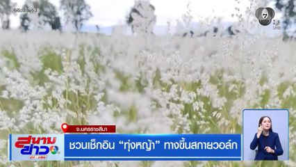 ชวนเช็กอิน ทุ่งหญ้า ทางขึ้นสกายวอล์ก จ.นครราชสีมา
