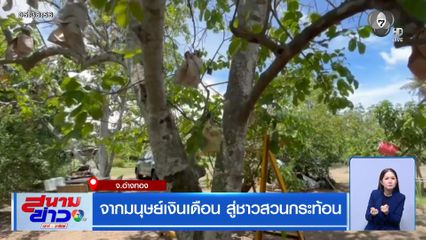จากมนุษย์เงินเดือน สู่ชาวสวนกระท้อน จ.อ่างทอง