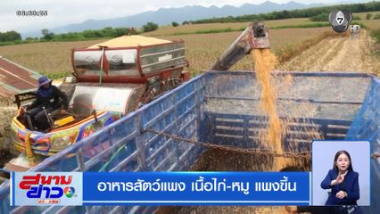 อาหารสัตว์แพง เนื้อไก่-หมู แพงขึ้น