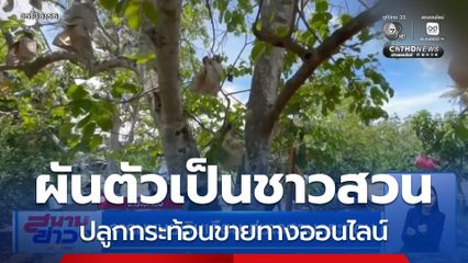 จากมนุษย์เงินเดือน สู่ชาวสวนกระท้อน จ.อ่างทอง