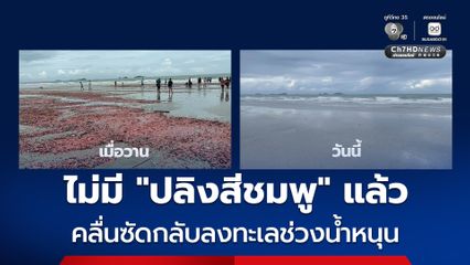 ไม่มี “ปลิงสีชมพู” แล้ว คลื่นซัดกลับลงทะเลช่วงน้ำหนุน