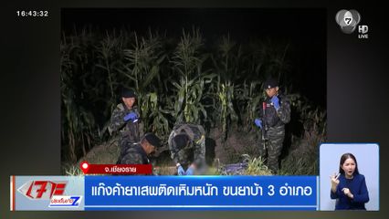 แก๊งค้ายาเสพติดเหิมหนัก ขนยาบ้า 3 อำเภอ