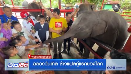 ฉลองวันเกิด ช้างแฝดคู่แรกของโลก จ.พระนครศรีอยุธยา