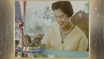 สารคดีพิเศษ พระพันปีหลวง ในดวงใจ ตอนที่ 162