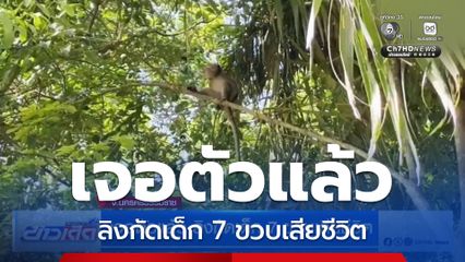 เจอตัวแล้ว ลิงกัดเด็ก 7 ขวบเสียชีวิต จ.นครศรีธรรมราช