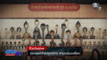 Exclusive ! อาถรรพ์เจ้าแม่งูจงอาง ตำนานถนนเลือด