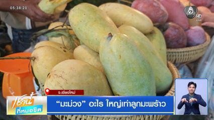 มะม่วง อะไร ใหญ่เท่าลูกมะพร้าว