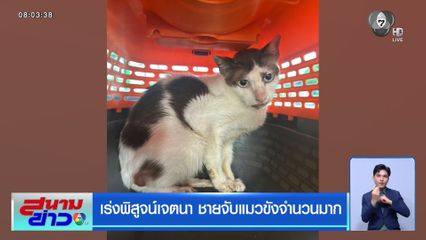 เร่งพิสูจน์เจตนา ชายจับแมวขังจำนวนมาก