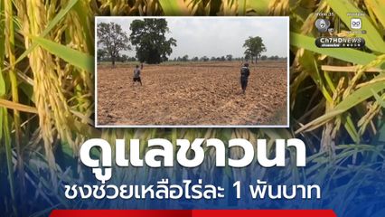 ดูแลชาวนา สุริยะ คาด นบข. อนุมัติมาตรการช่วยเหลือไร่ละ 1,000 บาท