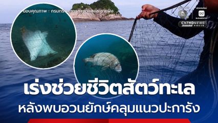 เร่งช่วยชีวิตสัตว์ทะเล หลังพบอวนยักษ์คลุมแนวปะการัง