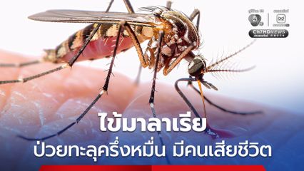 ไข้มาลาเรีย ยอดคนป่วยทะลุ 5 พันคน มีคนเสียชีวิตด้วย ก