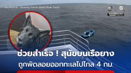ช่วยสำเร็จ ! สุนัขเยอรมันเชเพิร์ดอยู่บนเรือยางถูกพัดลอยออกทะเลไกล 4 กม. ในอังกฤษ