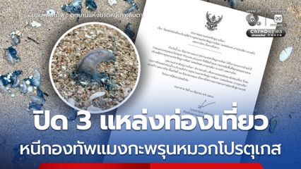 ปิด 3 แหล่งท่องเที่ยว หนีกองทัพแมงกะพรุนหมวกโปรตุเกส