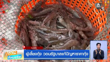 ผู้เลี้ยงกุ้ง วอนรัฐบาลแก้ปัญหาราคากุ้ง