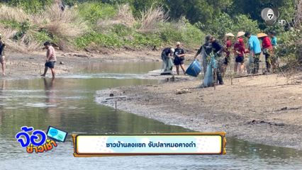 ชาวบ้านลงแขก จับปลาหมอคางดำ