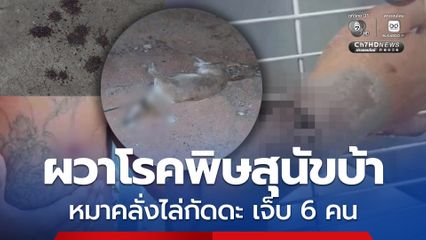 ระทึกเมืองโคราช ผวาโรคพิษสุนัขบ้า หมาคลั่งไล่กัดดะ เจ็บ 6 คน