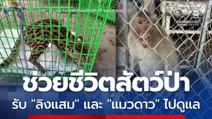 ช่วยชีวิตสัตว์ป่า รับ “ลิงแสม” และ “แมวดาว” ไปดูแล