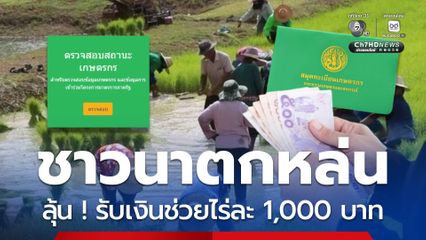 เกษตรกรกว่า 233,000 ครัวเรือนลุ้น! รับเงินช่วยไร่ละ1,000 บาท
