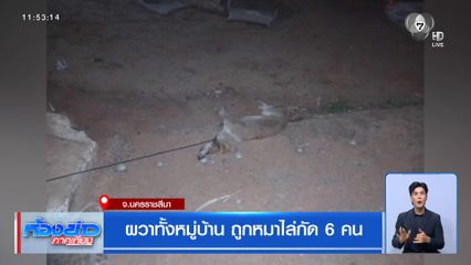 ผวาทั้งหมู่บ้าน ถูกหมาไล่กัด 6 คน