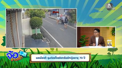 พลเมืองดี รุมต่อยโจรชิงทรัพย์หญิงอายุ 73 ปี