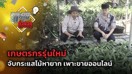 ตะลุยต่อยอด : เกษตรกรรุ่นใหม่ จับกระแสไม้หายาก เพาะขายออนไลน์