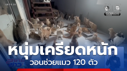 หนุ่มเครียด วอนช่วยแมว 120 ตัว
