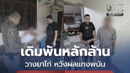 ลอบวางยาไก่ชน วงเงินเดิมพันกว่าล้านบาท