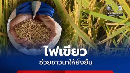 นบข. ไฟเขียวมาตรการบริหารจัดการข้าวเปลือก 11.5 ล้านตัน