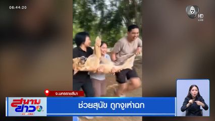 ช่วยสุนัข ถูกงูเห่าฉก จ.นครราชสีมา