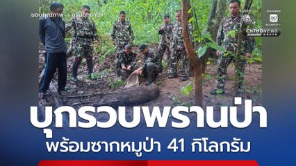รวบพรานป่า พร้อมซากหมูป่า 41 กก. และปืนลูกซอง กลาง อช.รามคำแหง