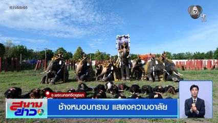 ช้างหมอบกราบ แสดงความอาลัย จ.พระนครศรีอยุธยา