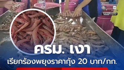 มาเลย์ฯแบนกุ้งไทย ครม.เงาแนะเจรจาเปิดด่าน พยุงราคากุ้ง 20 บาท/กก.