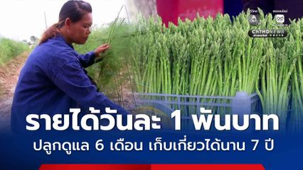 ปลูกหน่อไม้ฝรั่ง รายได้วันละ 1 พันบาท ปลูกดูแล 6 เดือน เก็บเกี่ยวได้นาน 7 ปี
