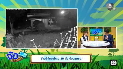 ช้างป่าโขลงใหญ่ 30 ตัว ป่วนชุมชน